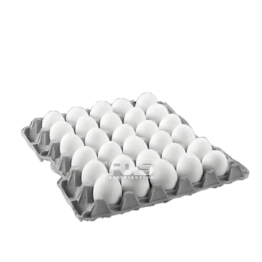 [GR0613] FRESH EGGS XL